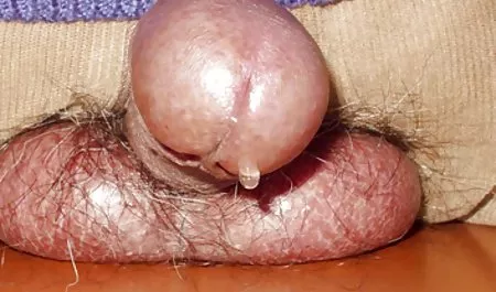 Merobek pelacurnya bokep seks 3gp di semua celah