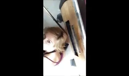 Gadis download bokep gp3 membelai vagina di perpustakaan