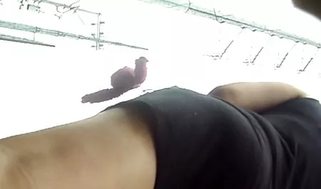 Asa Akira mendapat cum 3gp sma mesum di mulutnya setelah masturbasi
