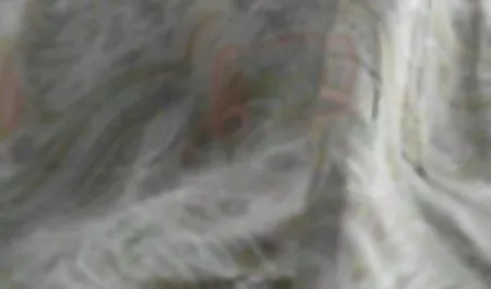 Pelacur video pemerkosaan 3gp dewasa bersenang-senang dengan lesbian muda